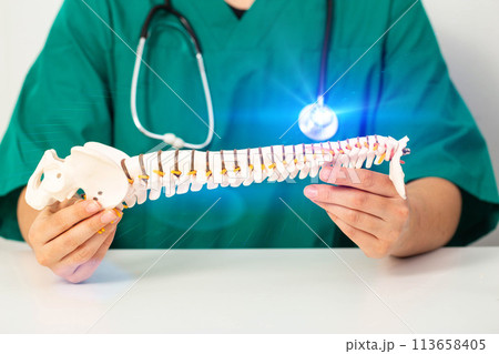Doctor neurosurgeon holds a model of the spine in his hands. The concept of treating spinal diseases and intervertebral hernias with surgery, close-up 113658405
