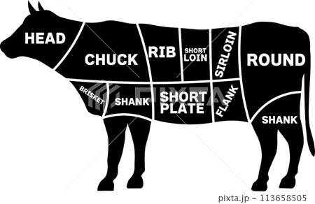 牛肉部位・英語のイラスト素材 [113658505] - PIXTA