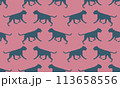 Running and jumping german boxer isolated on a 113658556