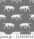 Seamless pattern. Running russian hound isolated 113658558