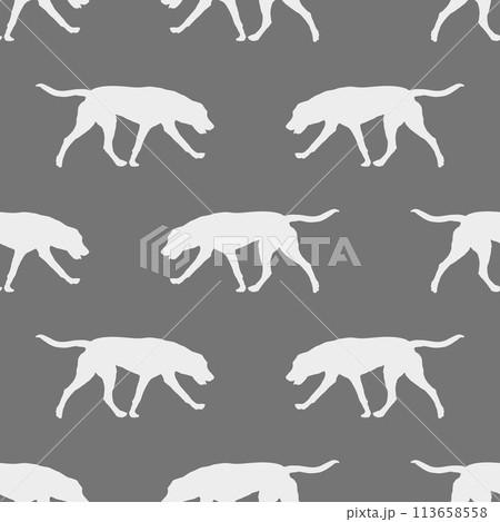 Seamless pattern. Running russian hound isolatedのイラスト素材 [113658558] - PIXTA
