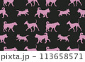 Different dogs in various poses. Isolated on a 113658571