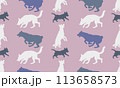 Seamless pattern. Silhouette dogs different breeds 113658573