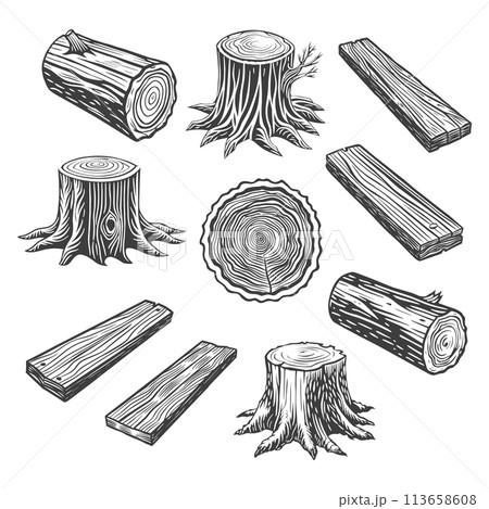 Set of wood logs for forestry and lumber industry. Illustration of trunks, stump and planks. Sketch 113658608
