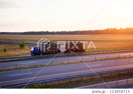 A blue logging truck transports round pine logs against the backdrop of sunset in the evening. Wood import and export concept. Logging as a business, industry. Copy space for text 113658713