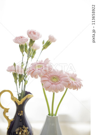 花瓶とガーベラとカーネーション 113658922