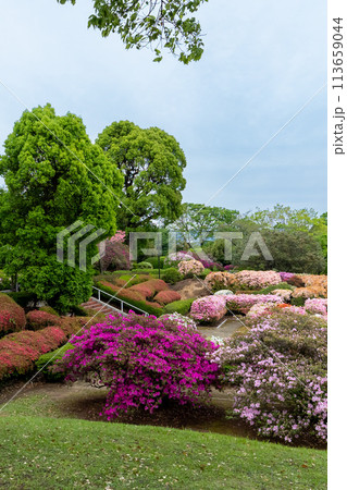熊本 昭和園 113659044