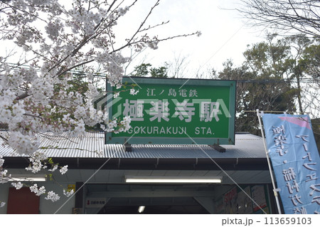 極楽寺駅と桜 極楽寺駅と桜 113659103