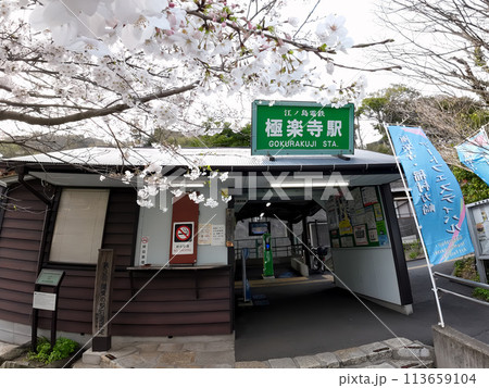 極楽寺駅と桜 極楽寺駅と桜 113659104