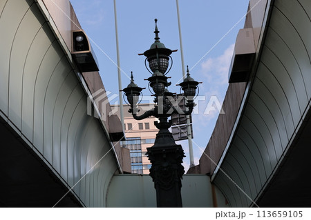 日本橋の街灯と首都高速道路 日本橋の街灯と首都高速道路 113659105