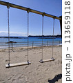 海辺のブランコ海の見える公園 113659118