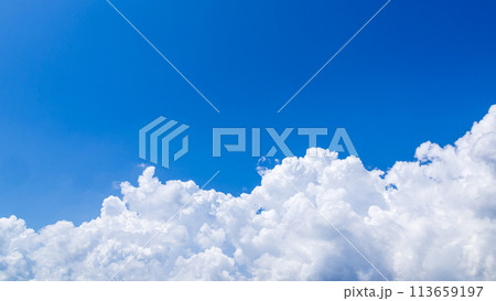 真夏の青空に発生した積乱雲 113659197