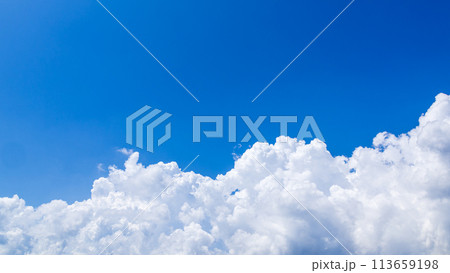 真夏の青空に発生した積乱雲 113659198