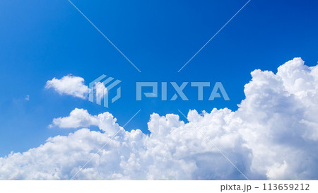 真夏の青空に発生した積乱雲 113659212