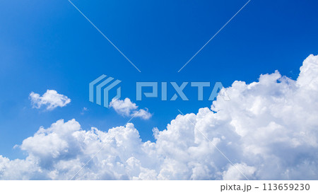 真夏の青空に発生した積乱雲 113659230