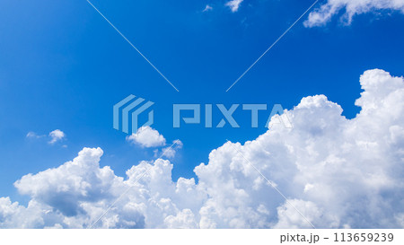真夏の青空に発生した積乱雲 113659239
