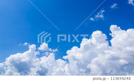 真夏の青空に発生した積乱雲 真夏の青空に発生した積乱雲 113659248