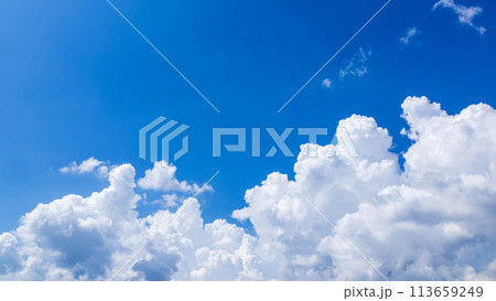 真夏の青空に発生した積乱雲 真夏の青空に発生した積乱雲 113659249
