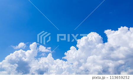 真夏の青空に発生した積乱雲 113659252