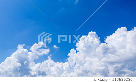 真夏の青空に発生した積乱雲 113659256