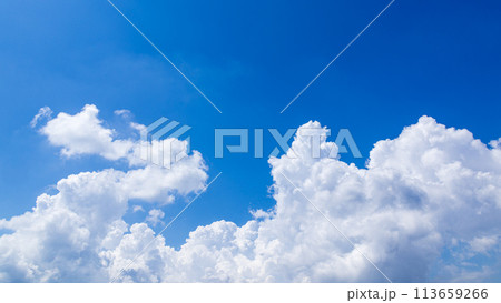 真夏の青空に発生した積乱雲 真夏の青空に発生した積乱雲 113659266