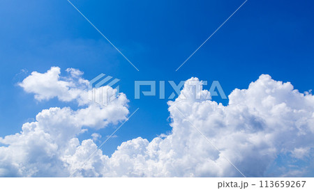 真夏の青空に発生した積乱雲 113659267