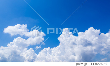 真夏の青空に発生した積乱雲 真夏の青空に発生した積乱雲 113659269