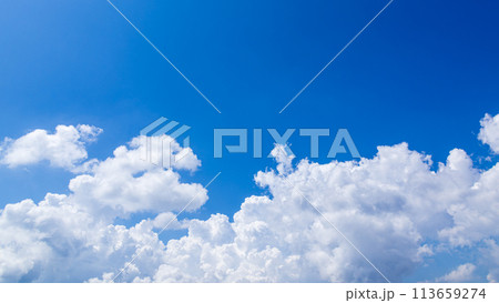 真夏の青空に発生した積乱雲 113659274