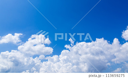 真夏の青空に発生した積乱雲 113659275