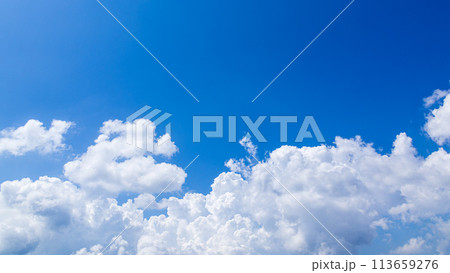 真夏の青空に発生した積乱雲 113659276