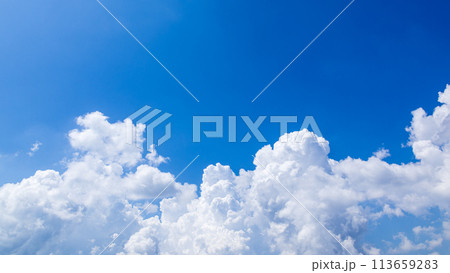 真夏の青空に発生した積乱雲 113659283