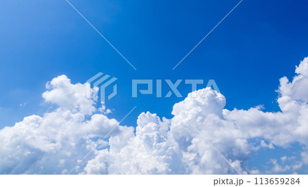 真夏の青空に発生した積乱雲 113659284
