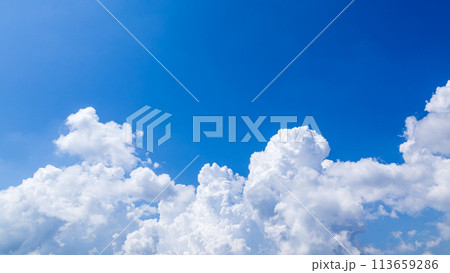 真夏の青空に発生した積乱雲 113659286