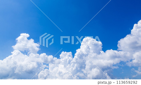 真夏の青空に発生した積乱雲 真夏の青空に発生した積乱雲 113659292