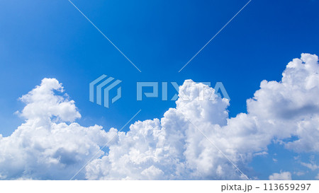真夏の青空に発生した積乱雲 真夏の青空に発生した積乱雲 113659297