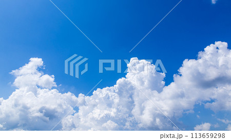 真夏の青空に発生した積乱雲 113659298