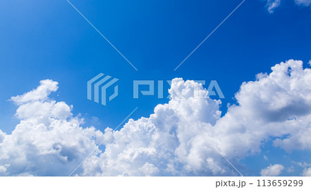 真夏の青空に発生した積乱雲 113659299