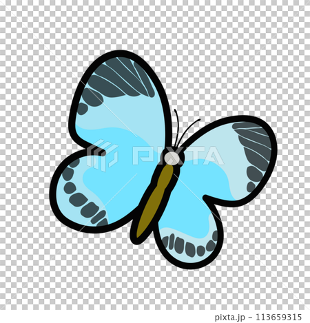 蝶のイラスト 113659315