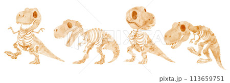 Tyrannosaurus Rex dinosaur skeleton . Watercolor paint cartoon characters . Set 1 of 4 . Vector . Tyrannosaurus Rex dinosaur skeleton . Watercolor paint cartoon characters . Set 1 of 4 . Vector . 113659751