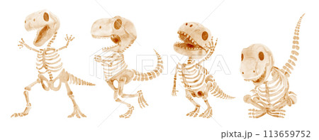 Tyrannosaurus Rex dinosaur skeleton . Watercolor paint cartoon characters . Set 2 of 4 . Vector . 113659752