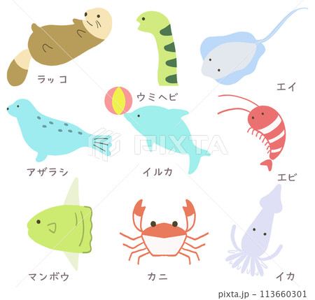 海の生き物イラストセット 113660301