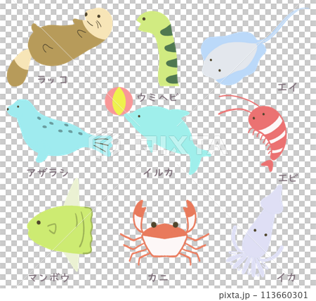 海の生き物イラストセット 113660301
