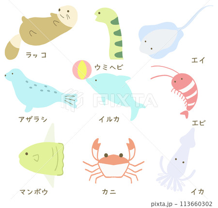 海の生き物イラストセット 113660302