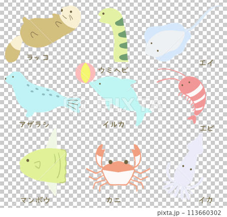 海の生き物イラストセット 113660302