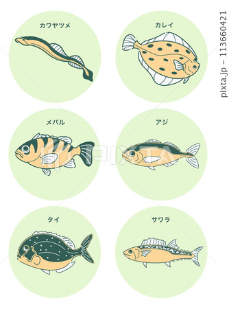 魚のイラストセット 魚のイラストセット 113660421
