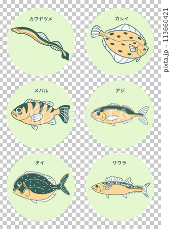 魚插圖集 魚插圖集 113660421