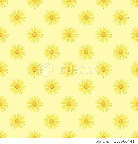 seamless pattern with chamomile flowers seamless pattern with chamomile flowers 113660441