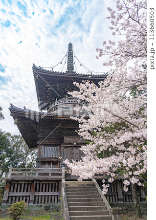 【第1番札所】桜咲く霊山寺　多宝塔【四国八十八箇所】 113660503