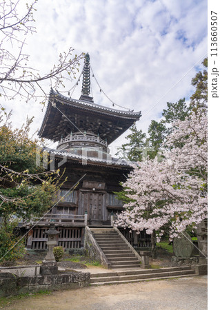 【第1番札所】桜咲く霊山寺　多宝塔【四国八十八箇所】 113660507
