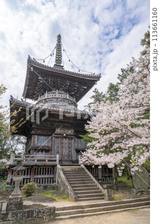 【第1番札所】桜咲く霊山寺　多宝塔【四国八十八箇所】 113661160